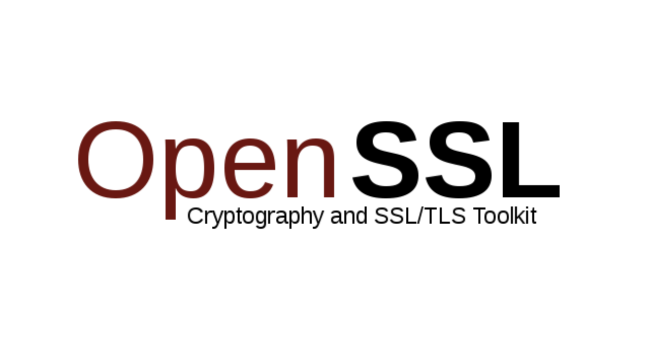 OpenSSL Explained in Simple Terms | Web Hosting Geeks' Blog