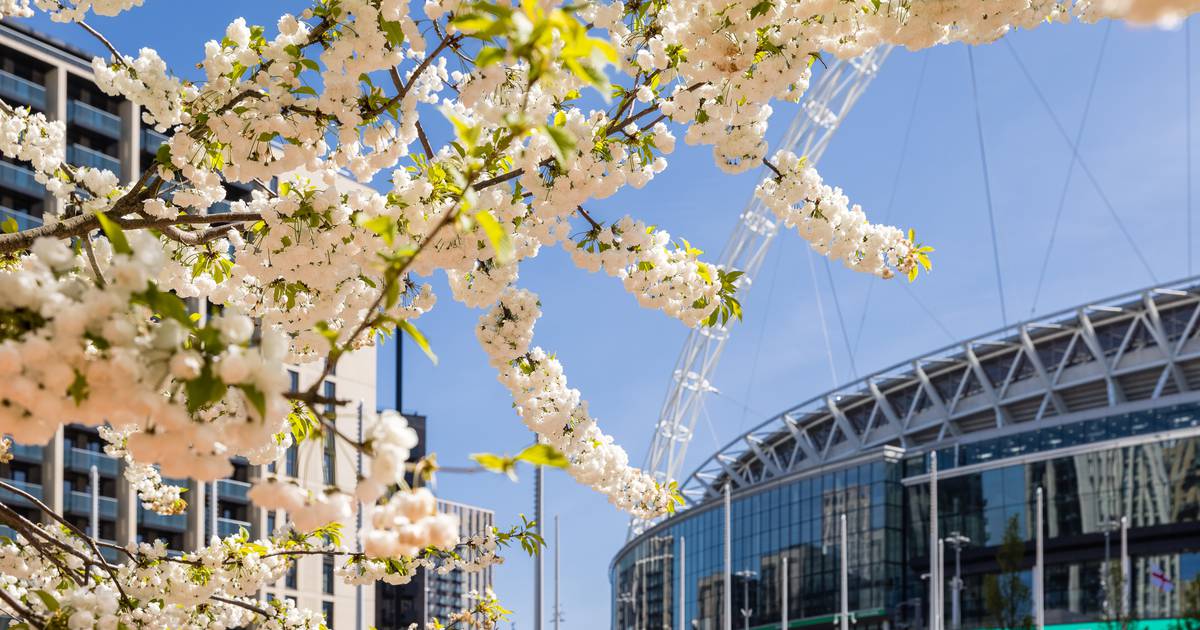 Things to do around Wembley Stadium