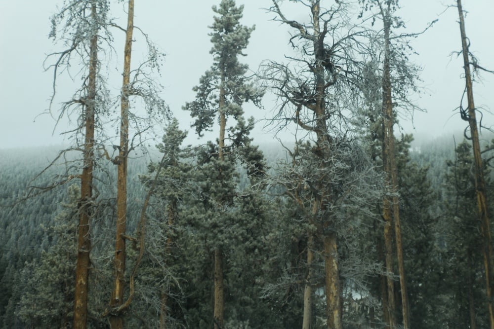 Low Snowpack Kindles More Severe Wildfires, Western Study Finds
