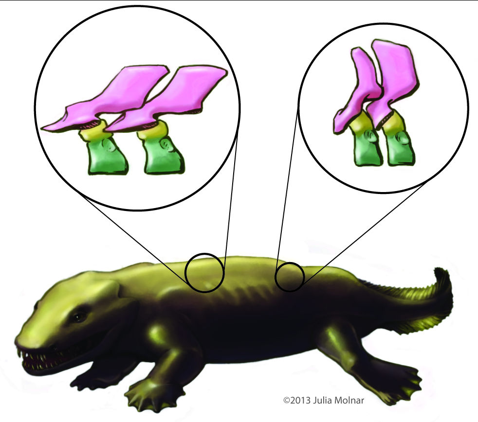 Particle accelerators and your inner tetrapod’s vertebrae | What's In John's Freezer?