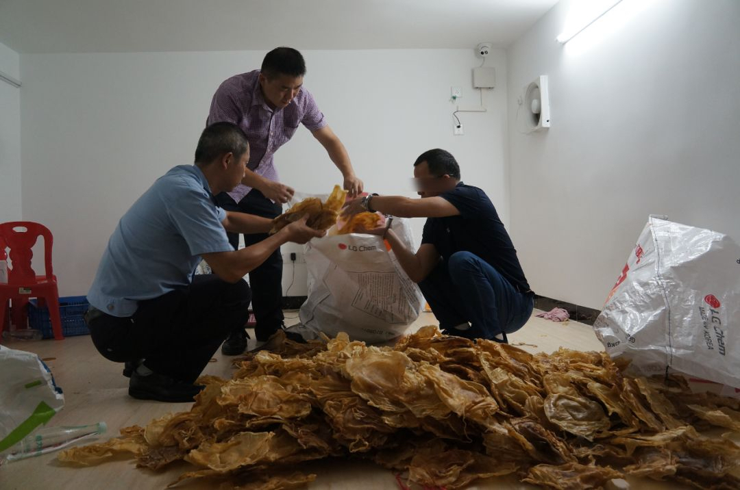 China Customs Busts Major Totoaba Smuggling Ring - WildAid