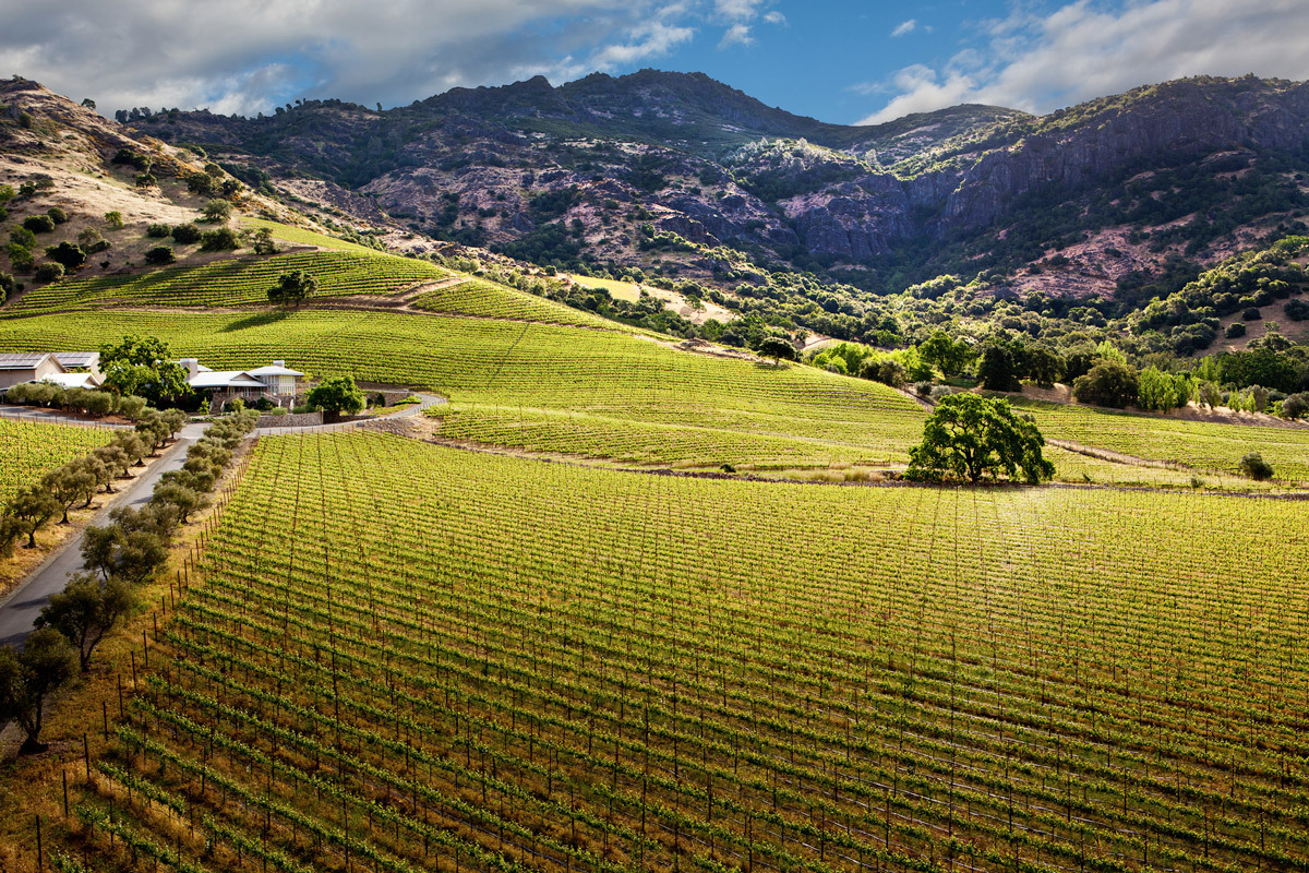 Shinsegae acquires Napa Valley winery for W299.6b - The Korea Herald