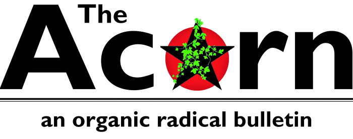 The Acorn – 101 | winter oak