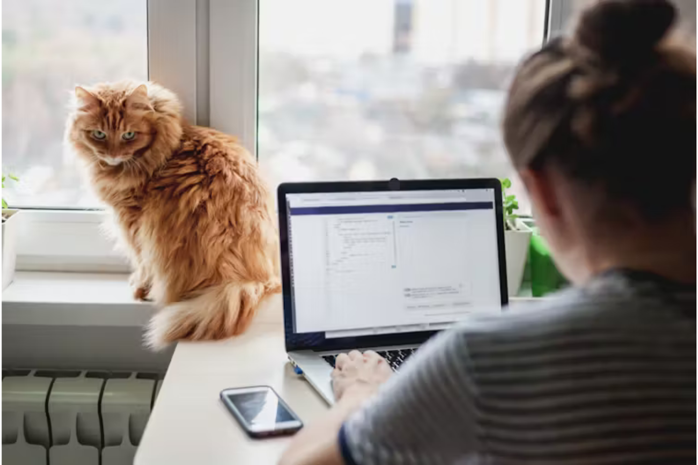 JD Vance got ‘single cat women’ all wrong - Women's Agenda