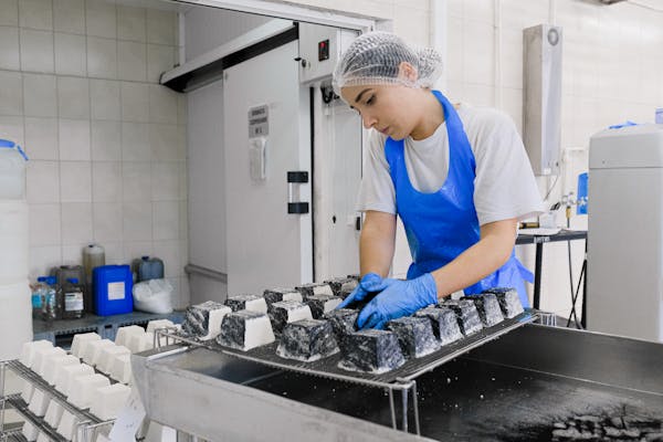 Manufacturing Job Impact: How Many Roles Are Being Replaced?