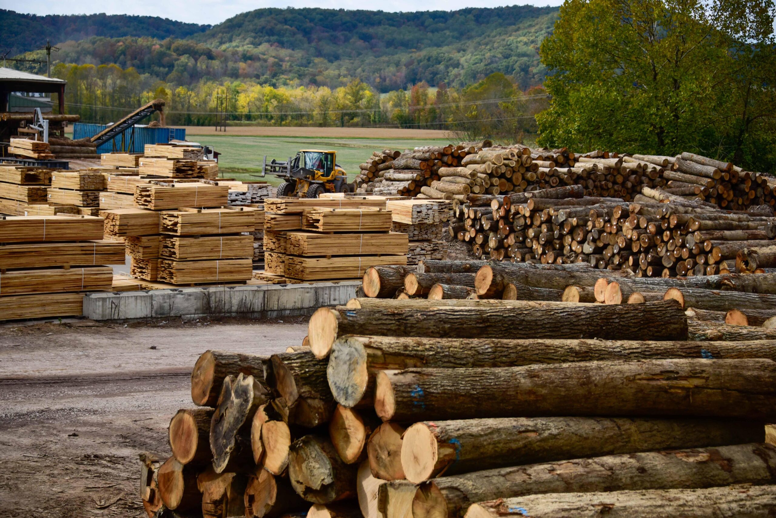 Hardwood companies seek relief from Trump tariffs | WPLN News