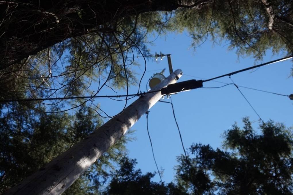 Help Us Investigate PG&E’s Power Lines | KQED