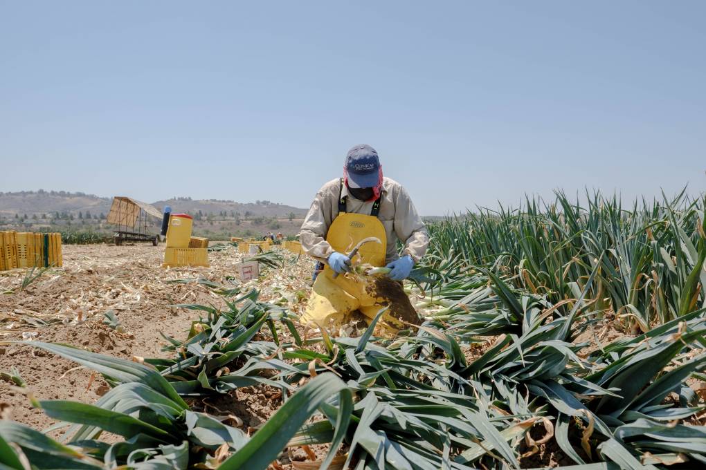 Why California Workers Are Still Dying From Heat — Despite Protections | KQED