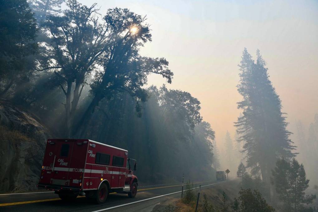 In California, Restoring Our Relationship With Fire Is Possible | KQED