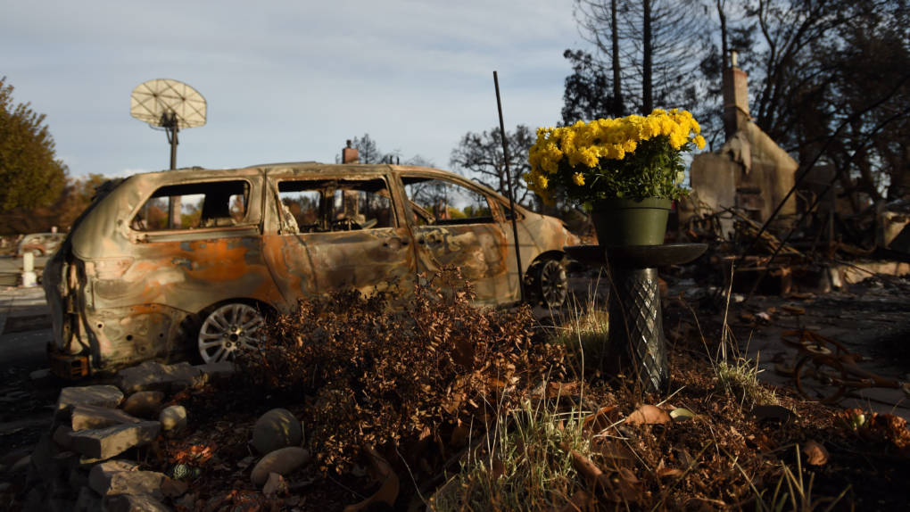 Up From the Ashes, Six Months After the North Bay Fires | KQED