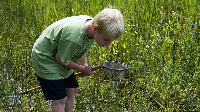 How the Power of Interest Drives Learning | KQED