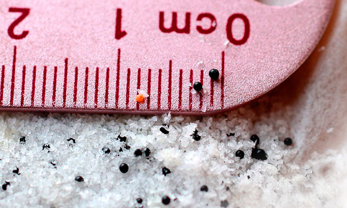 Governor Signs 23 Environmental Bills, Including Microbead Ban | KQED
