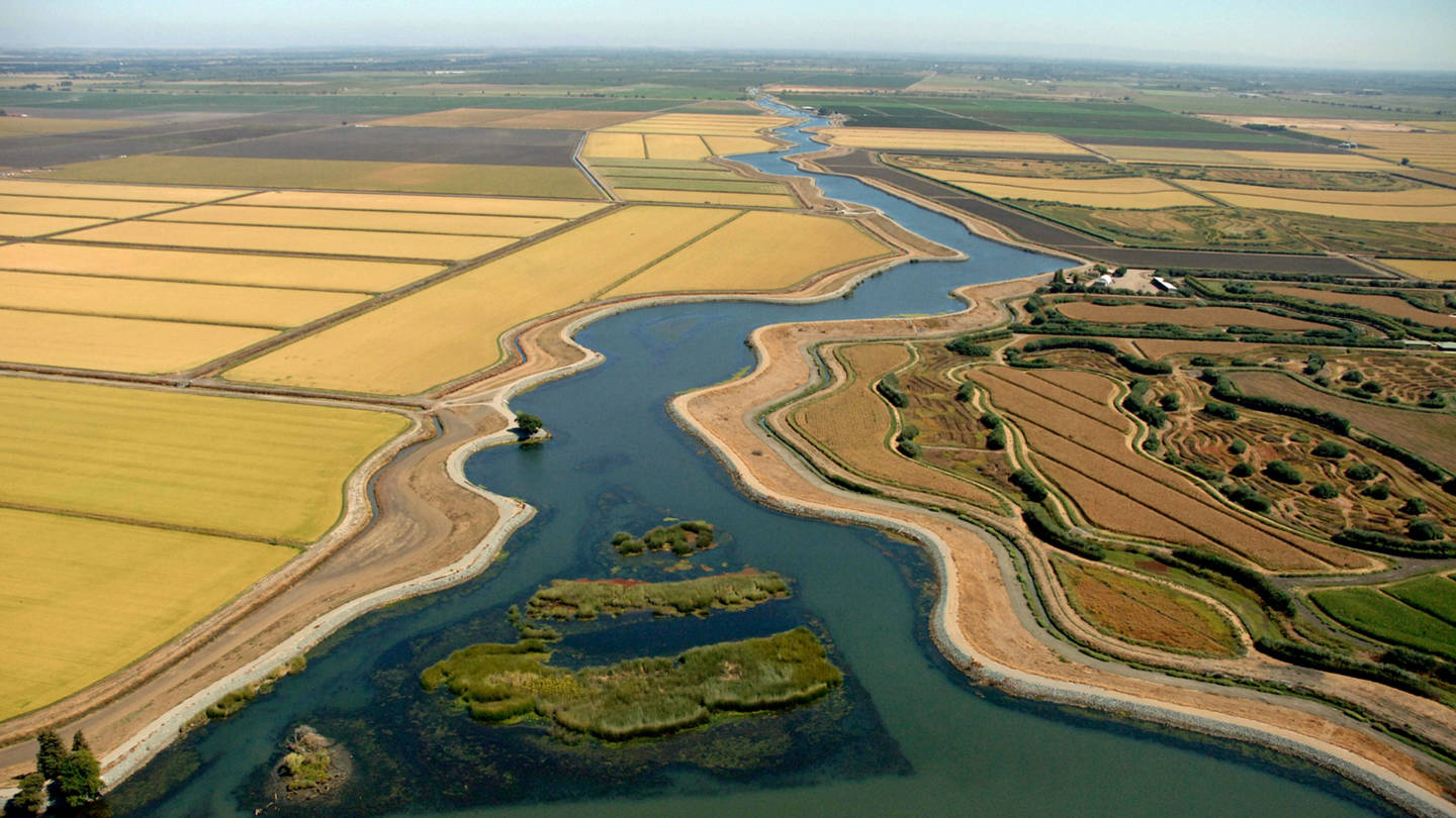 Newsom Moves Ahead With Plan for Single Delta Water Tunnel | KQED