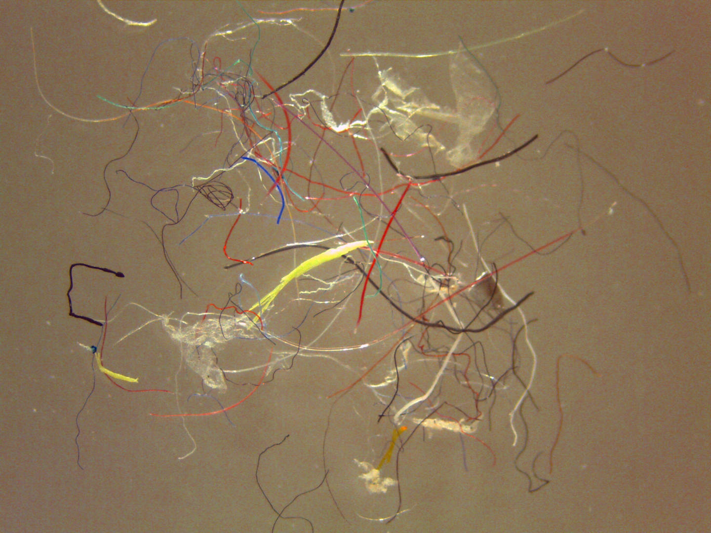 Microfibers: How the Tiny Threads in Our Clothes Are Polluting the Bay | KQED