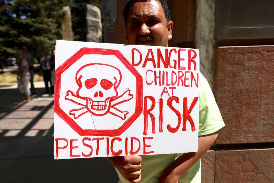 California Bans Chlorpyrifos, Widely Used Pesticide | KQED