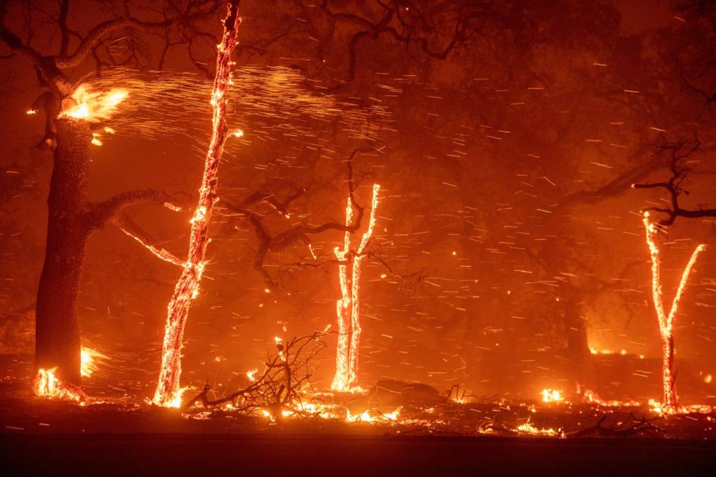 We Can Make California Wildfires Less Horrific. Will We? | KQED