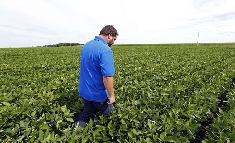 American Farmers Want Trade Partners Not Handouts – An Agricultural Economist Explains