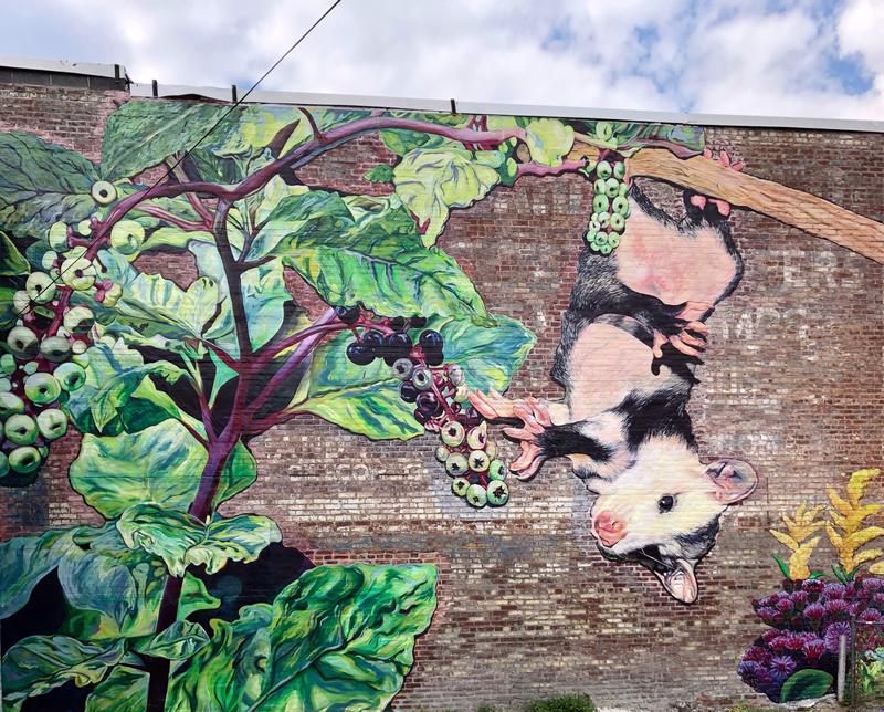 Possum in Kentucky Artist's Mural Reveals Complicated Connection to Marsupial's Symbolism