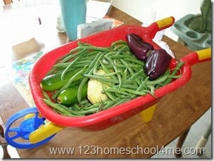 🍅🍆🥬🥕Gardening with Kids Tips plus EASY Plants for Kids to Grow