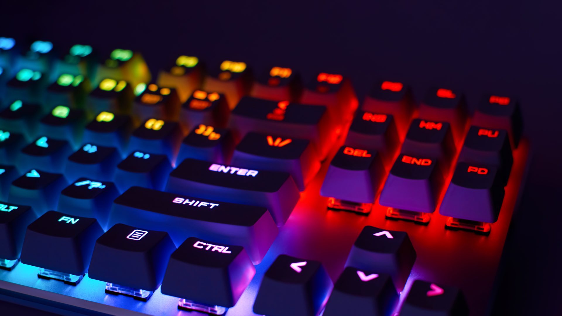 Gaming-Tastatur: Starkes SteelSeries-Modell jetzt im Amazon-Angebot - 4P.de