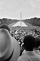 Black Women March on Washington: The Sojourners for Truth and Justice and Black Women’s Lives Matter - AAIHS