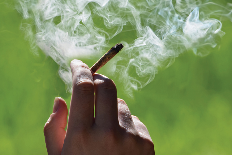 New recreational cannabis laws could make it harder for employers to fire impaired workers