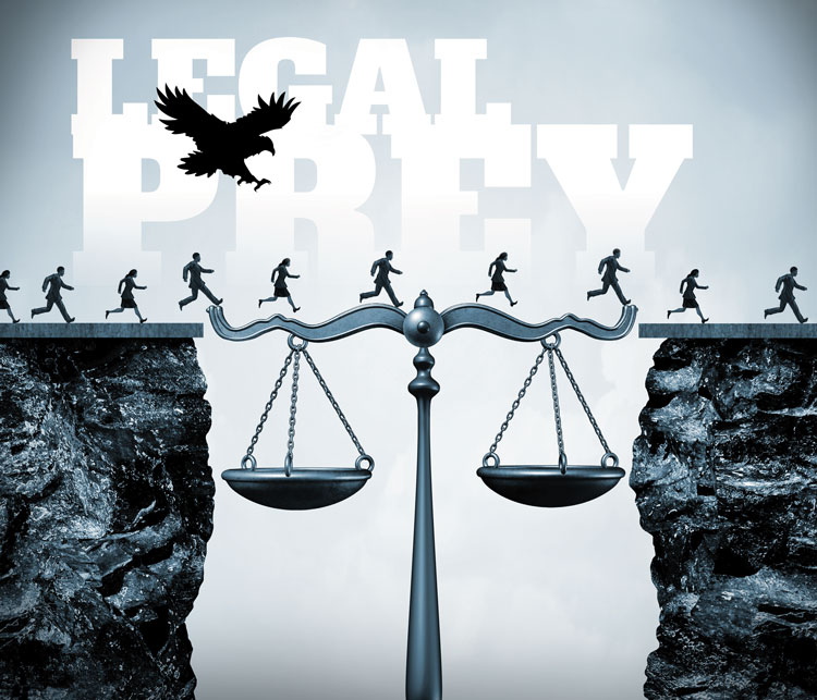 Increased enforcement of immigration laws raises scam risk