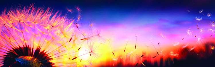 How to integrate well-being throughout your organization