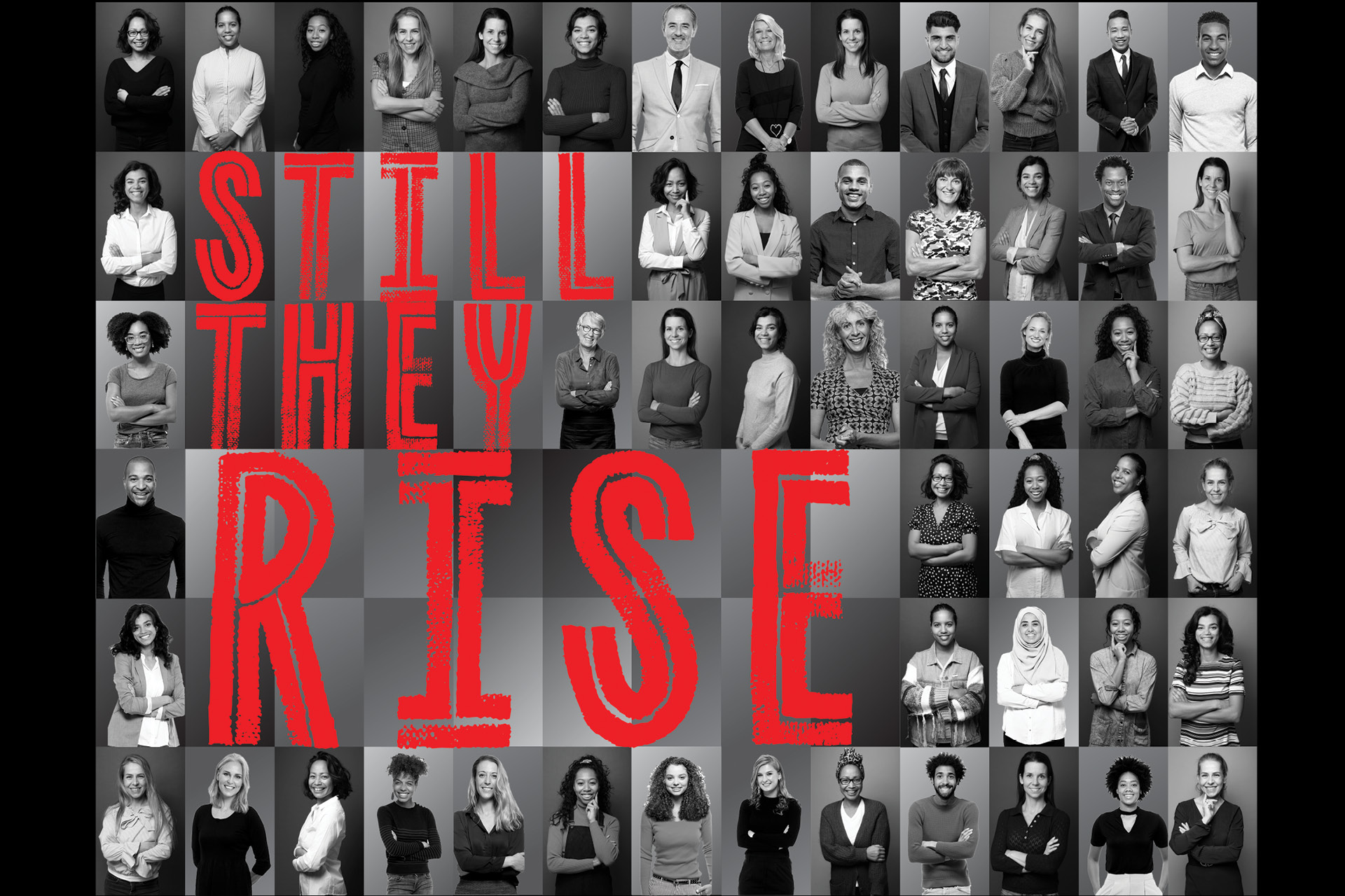 Still They Rise: Numbers for women in the profession are increasing