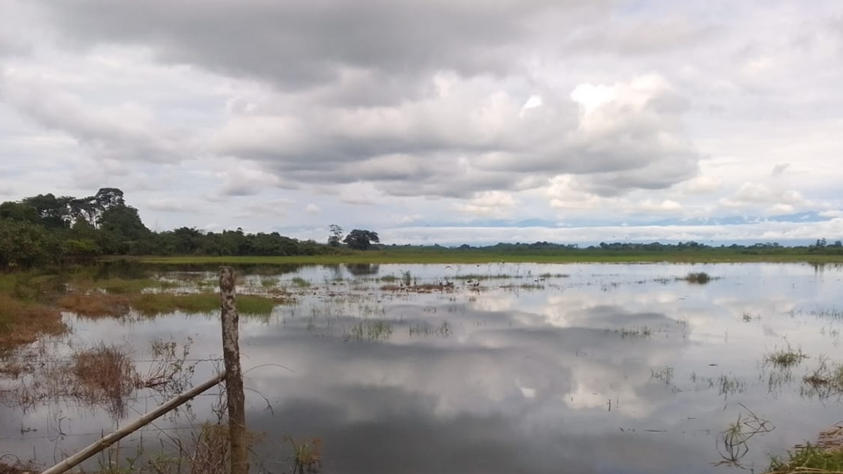 Serie Naturaleza con Derechos #5: 2 de febrero: Día Mundial de los Humedales - Acción Ecológica