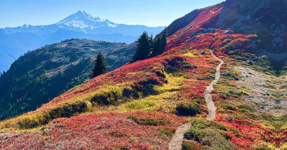 Staff Picks For REI Co-op Member Coupons, March 2026