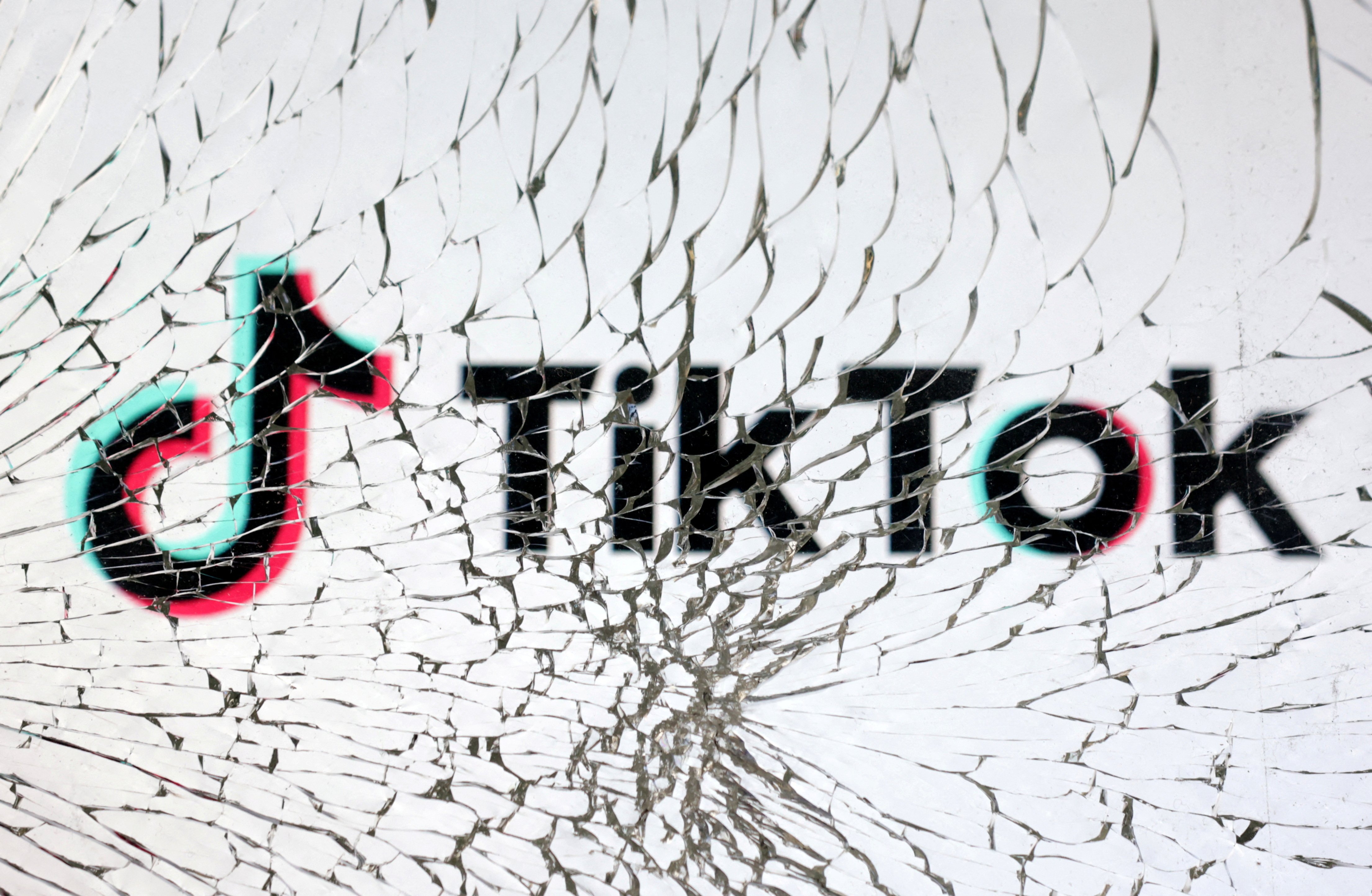 Would a TikTok Ban Be Constitutional? | American Enterprise Institute - AEI