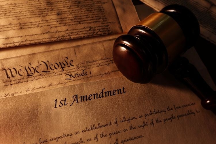 Federal Court Affirms Freedom of Speech and the Rule of Law–but Challenges Remain | American Enterprise Institute - AEI
