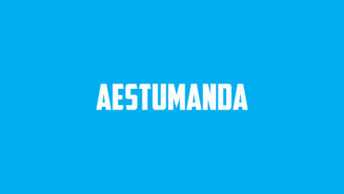 Write For Us — Aestumanda