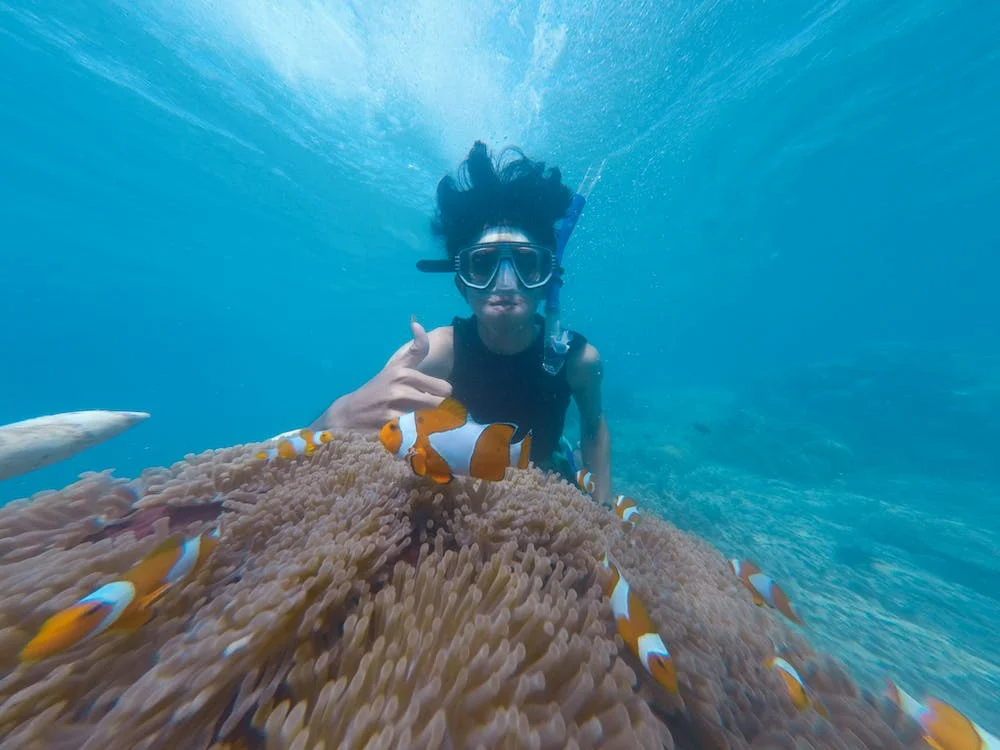Dit zijn de hotspots om te snorkelen in Agia Pelagia! - AgiaPelagia.nl