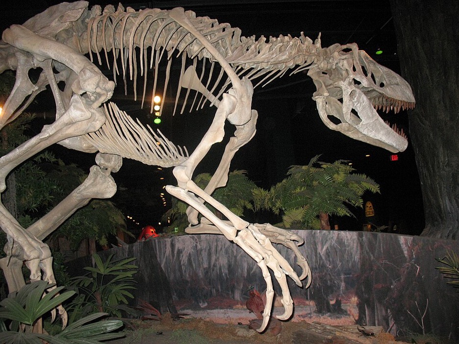 The Turnipseed Tyrannosaurid: Alabama’s Late Cretaceous Predator - Alabama Heritage