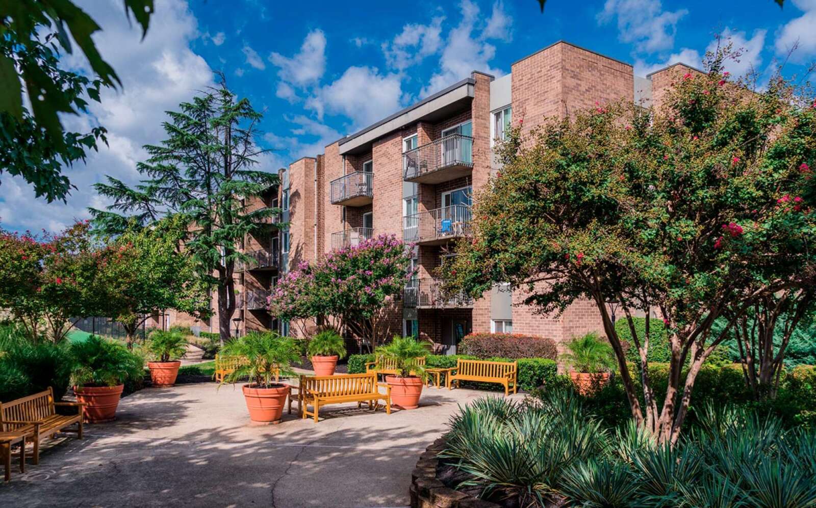 Alexandria’s apartment rents decline but remain above the regional median price | ALXnow