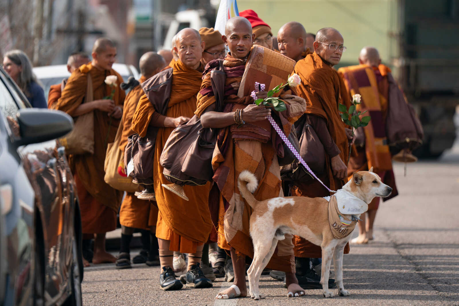 Buddhist monks on 2,300-mile ‘Walk for Peace’ will pass through Old Town on Monday | ALXnow
