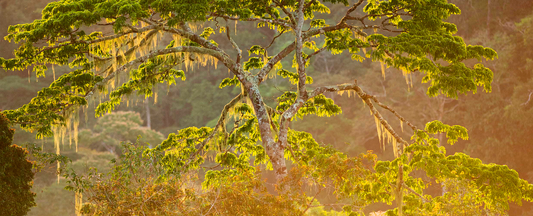 Le Parc National de Minkébé | Amazing GABON