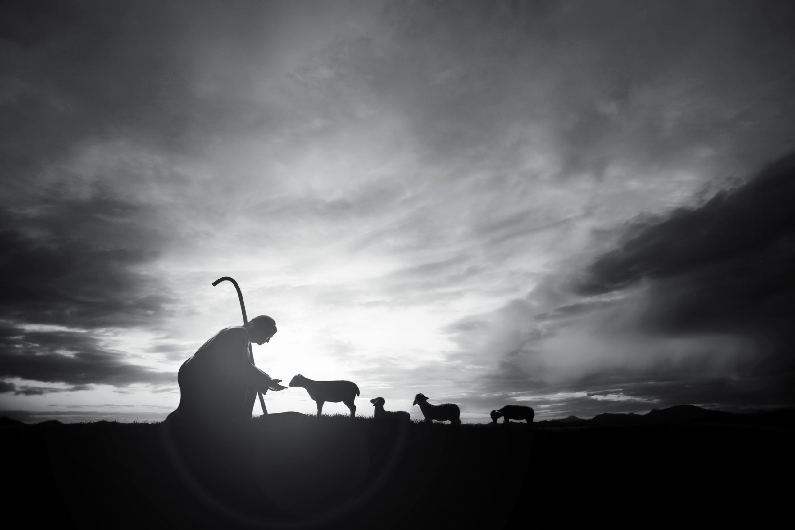 For priests, ‘smelling like the sheep’ is not optional - America Magazine