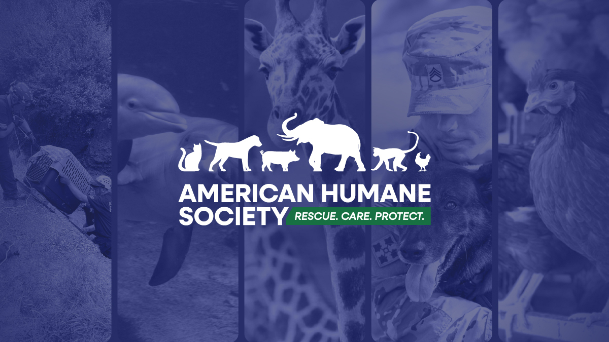 Puppet Master - American Humane Society