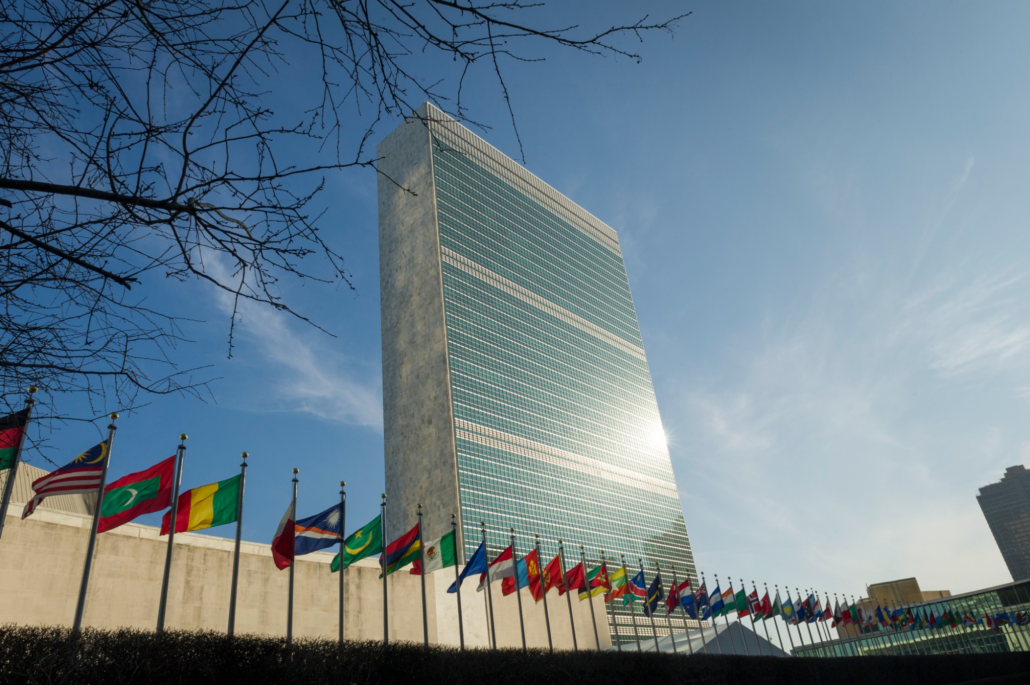 UN Security Council Reform: Analyzing Needs and Obstacles | ASP American Security Project