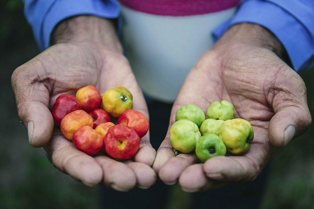 Nutrilite, exclusively from Amway, wins platinum and gold MarCom Awards for traceability program