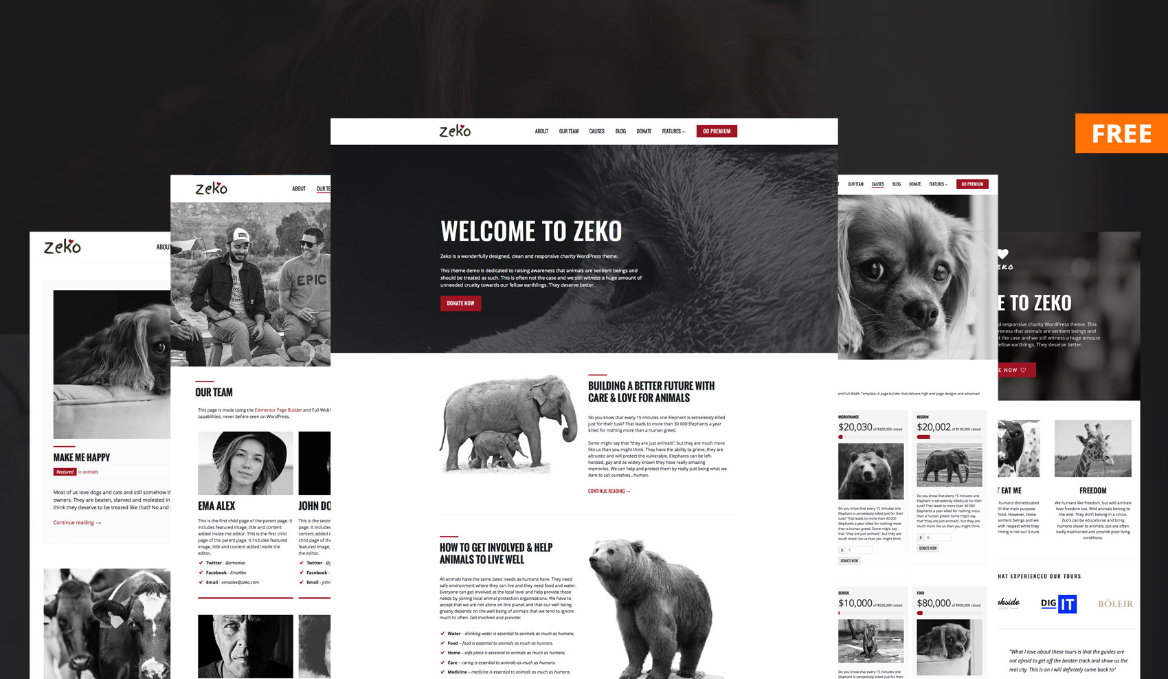 Free Non-Profit WordPress Theme - Zeko Lite