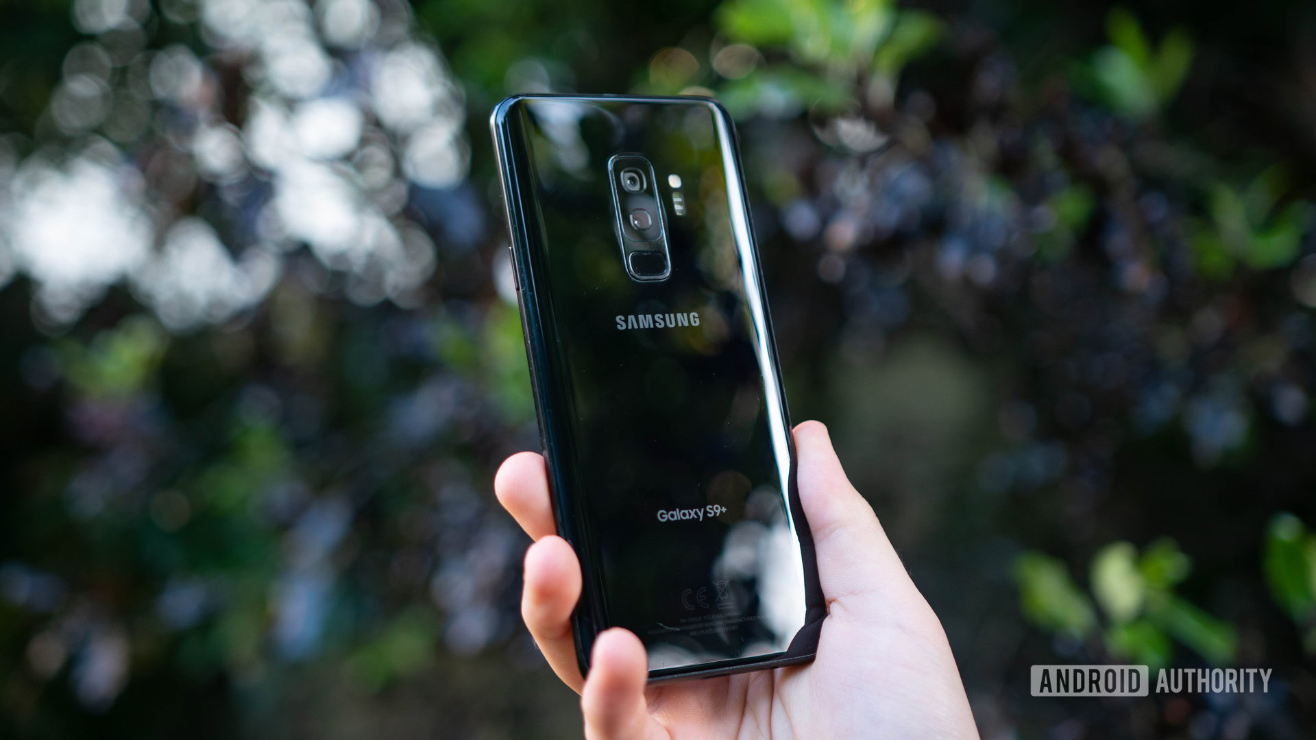 Samsung Galaxy S9 Plus Redux: Aged gracefully - Android Authority