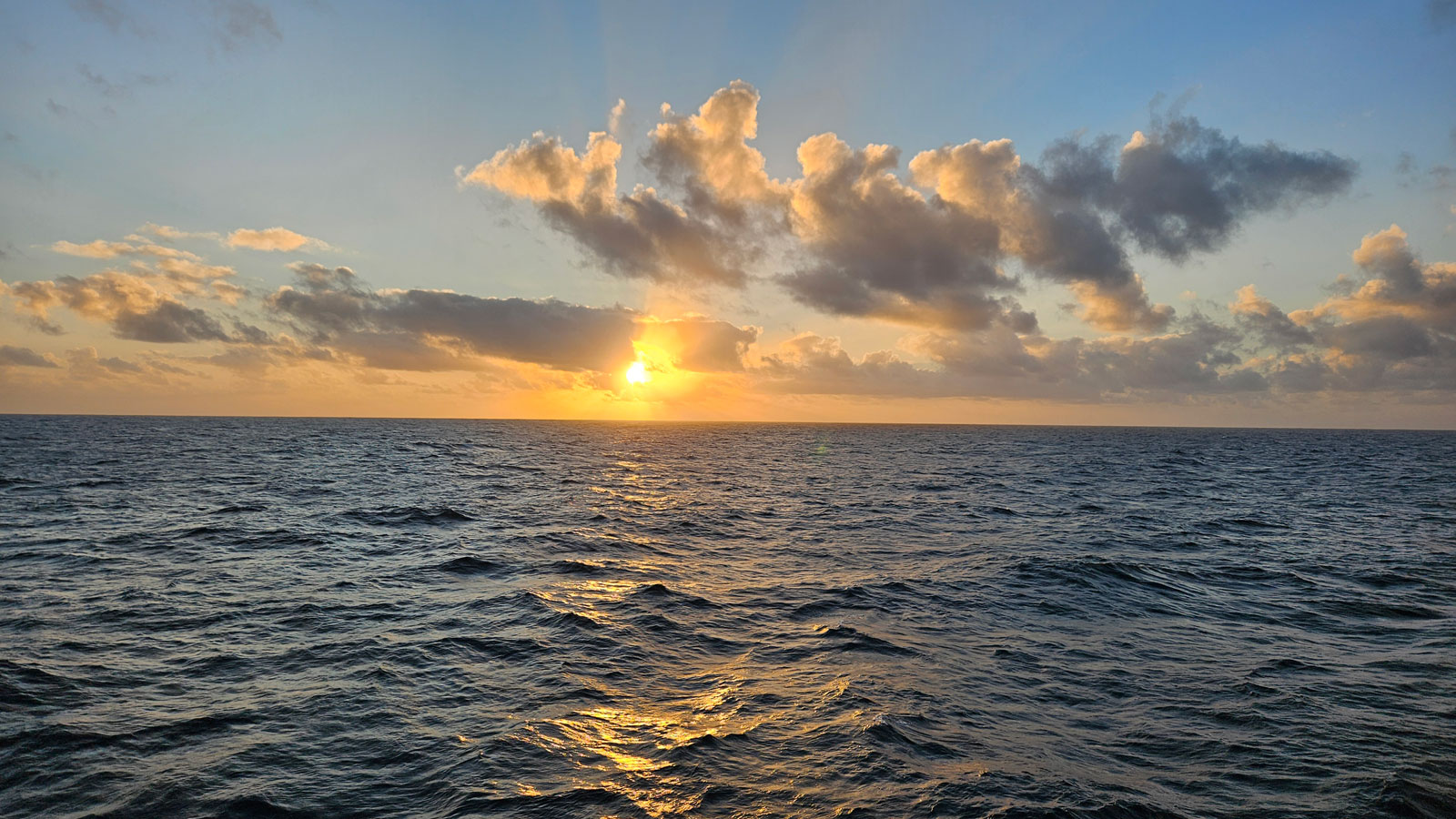 Scientists at AOML measure ocean’s crucial buffering against rising global carbon emissions - NOAA/AOML