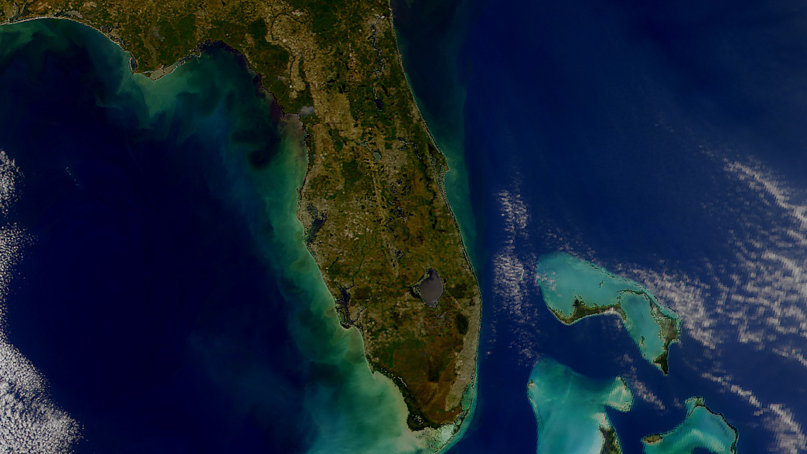 New study: the wind-upwelling interplay in the South Atlantic Bight