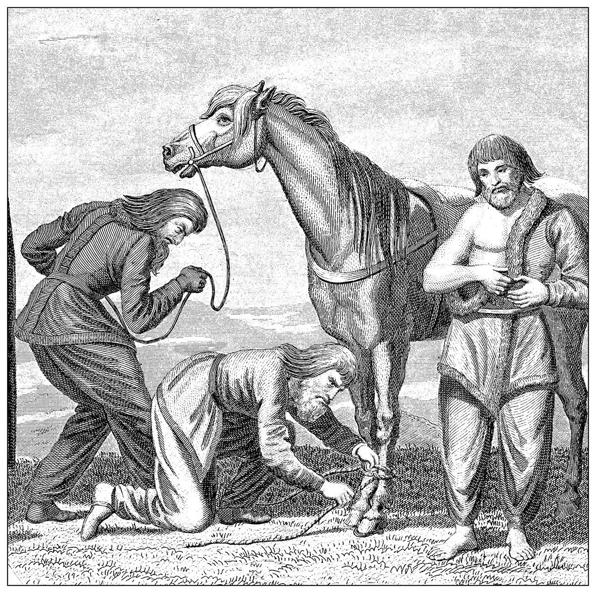Dental plaque provides insight into the diet of horse-back warriors