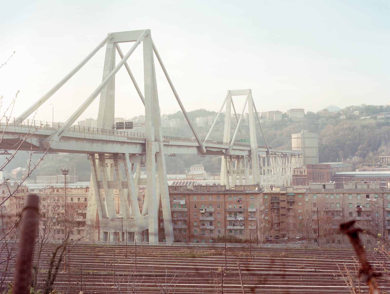 Morandi Bridge collapse raises questions about the future of concrete