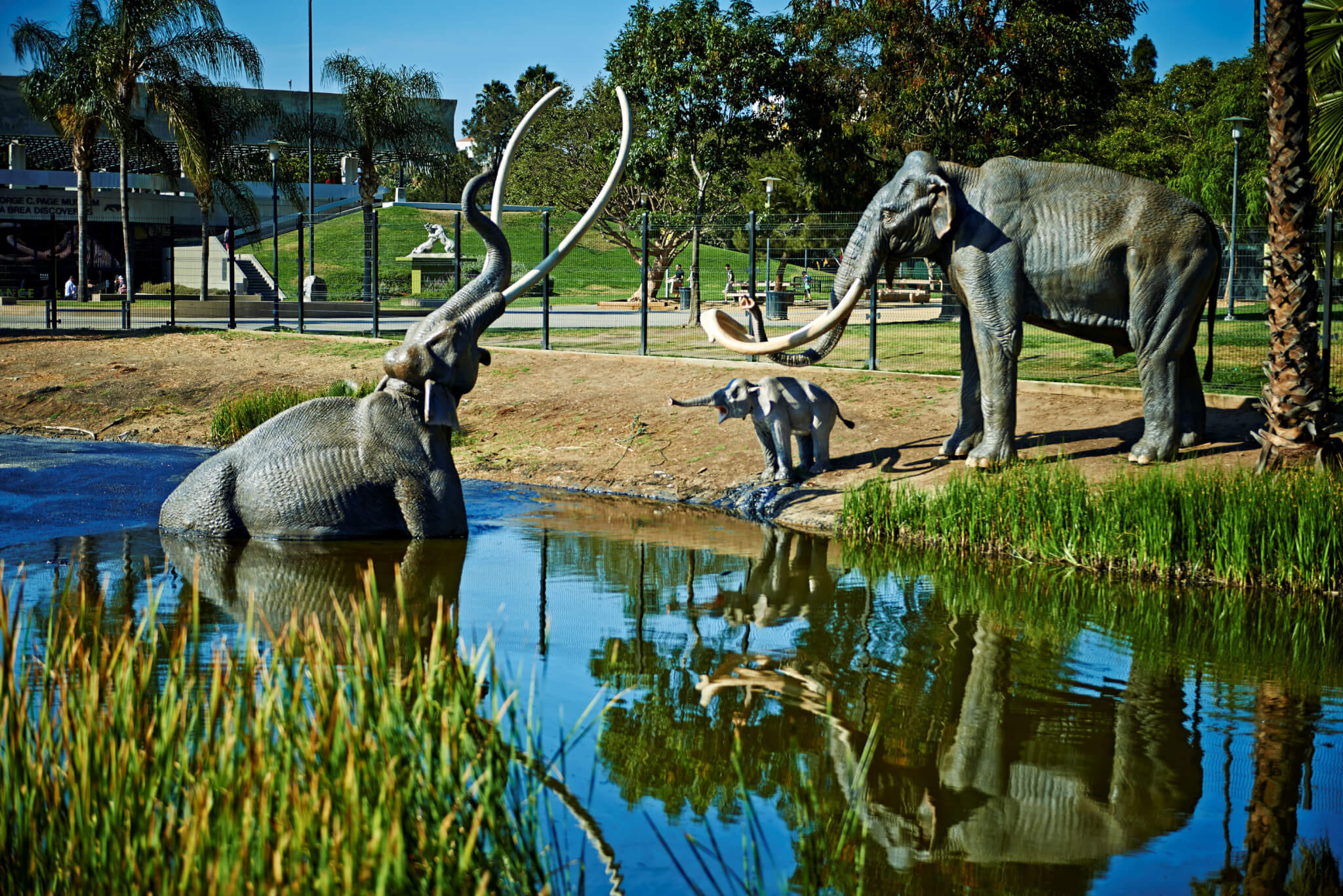La Brea Tar Pits new exhibition design will show us the Ice Age